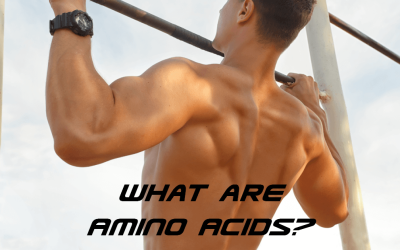 What are Amino Acids