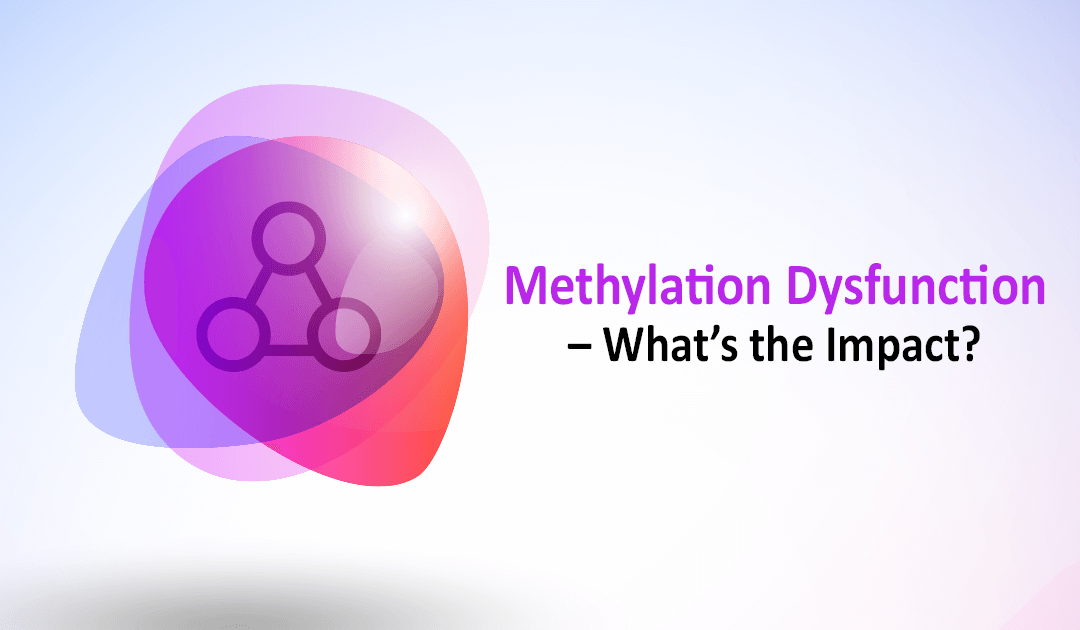 Methylation Dysfunction – What’s the Impact?