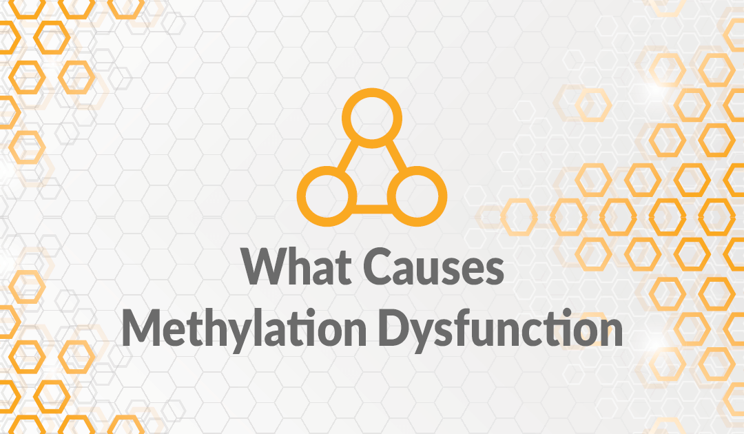 What Causes Methylation Dysfunction?