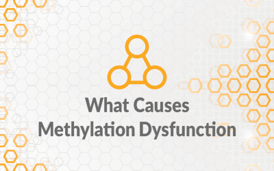 What Causes Methylation Dysfunction?