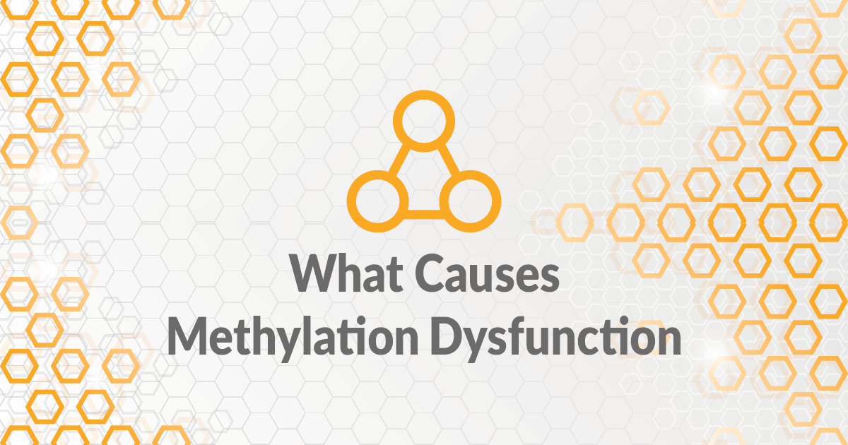 What Causes Methylation Dysfunction