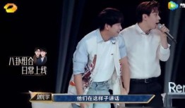 娱乐圈八卦爆料刘宪华,揭秘背后的真相与争议