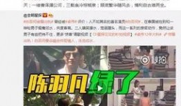 娱乐大爆料卓伟视频大全,揭秘娱乐圈幕后真相