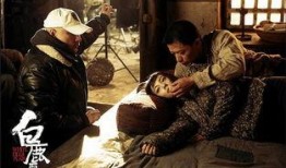 电影白鹿原在线观看,探寻历史变迁下的家族传奇