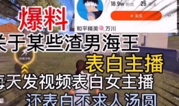 常德渣男爆料视频播放,揭秘网络暴力与道德沦丧