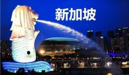 新加坡爆料吧最新消息,揭秘事件背后真相