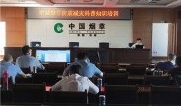 塔城爆料事件最新消息新闻,最新进展揭秘，真相逐步浮出水面