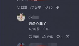小六最新爆料视频大全集,揭秘幕后真相，带你走进事件核心
