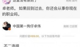 问答最新爆料,问答界风云再起，独家内幕大公开！