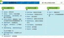 小程序最新追击爆料,小程序背后的秘密与未来趋势