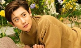 灿烈女朋友爆料视频