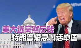 特朗普最新消息爆料,揭秘其政治生涯背后惊人内幕！