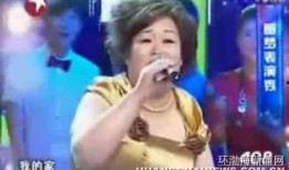 张大妈爆料达人视频大全,达人视频大全背后的精彩故事