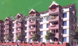 和平花园爆料视频大全,揭秘社区生活点滴