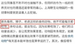 郑州员工爆料事件视频,揭露职场黑暗面