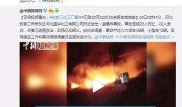 河北邢台爆料新闻事件视频