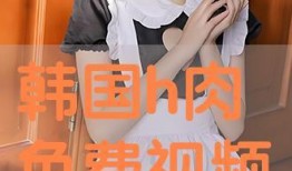 在线观看h视频网,h视频网在线观看体验全解析