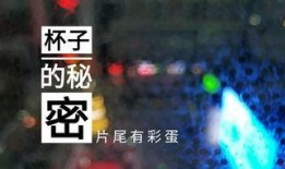 潍坊饭店爆料视频,揭露惊人内幕，服务品质引热议