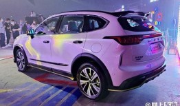 赤兔最新版本爆料,全新功能与优化一览