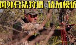 狩猎视频在线观看,在线观看惊心动魄的野生动物捕猎瞬间