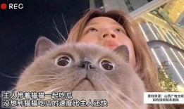 娱乐吃瓜猫嘎嘎,揭秘娱乐圈幕后趣闻
