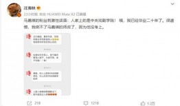 娱乐圈吃瓜马嘉祺,马嘉祺成吃瓜焦点，揭秘幕后真相
