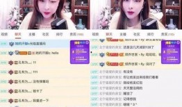 主播岩石被爆料视频,视频爆料背后的真相与争议