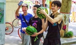 免费吃瓜连接学校,校园里的甜蜜诱惑与知识盛宴