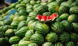 泰国西瓜最新爆料新闻,揭秘神秘事件背后的真相