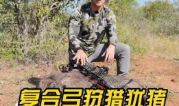 狩猎视频在线观看,在线观看惊心动魄的野生动物捕猎瞬间