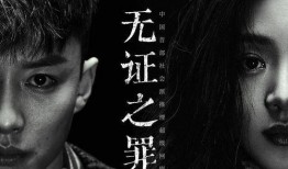 无证之罪 在线观看,悬疑迷雾中的正义追寻