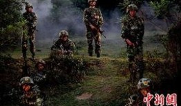 零号国境线在线观看,揭秘神秘边境的传奇故事