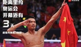 羽毛球冠军林丹爆料视频,羽毛球冠军背后的心路历程与奋斗故事