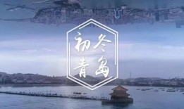 今日青岛爆料视频,视频揭秘城市热点事件