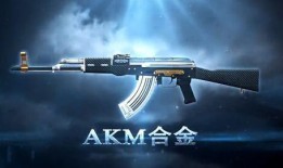 合金新武器爆料视频大全