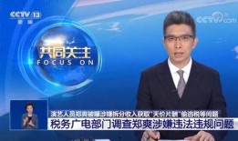 央视新闻网爆料,揭秘事件背后真相