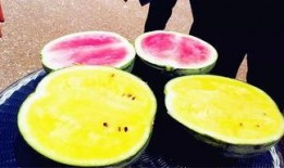 最新吃瓜聚集地爆料