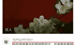 于正卓伟最新爆料消息,娱乐圈惊天秘密大揭秘！