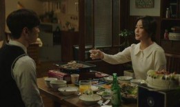 记者爆料韩国烧酒视频播放,传统工艺与现代视角的碰撞