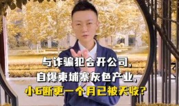 柬埔寨爆料博主诈骗视频,揭秘网络诈骗背后的真相