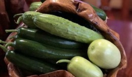 西和网红吃瓜,揭秘网络红人的幕后故事