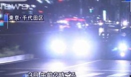 日本指挥官爆料事件视频,揭秘神秘事件背后惊人内幕