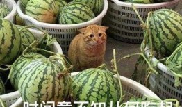 武汉爆料最新吃瓜视频