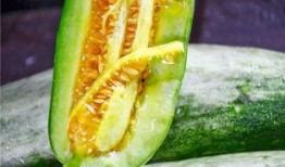 吃瓜成网红,揭秘吃瓜成名的秘密之路