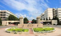 龙子湖大学爆料视频,校园风云录