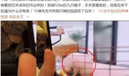 殷世航爆料小猪视频