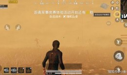 吃鸡技巧加爆料视频,技巧解析 独家爆料视频大放送