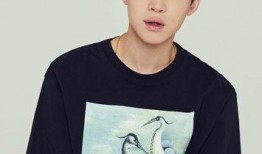 娱乐圈八卦爆料刘宪华,揭秘背后的真相与争议