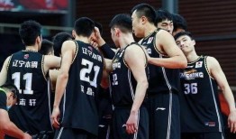 杨鸣妻子爆料原文视频,揭秘杨鸣家庭生活细节