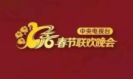 爆料春节晚会视频大全,揭秘历年精彩瞬间，重温经典瞬间